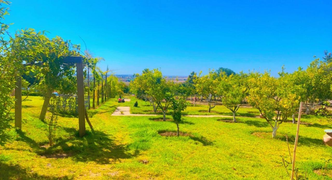 Palais D'Hotes Salé Dış mekan fotoğraf